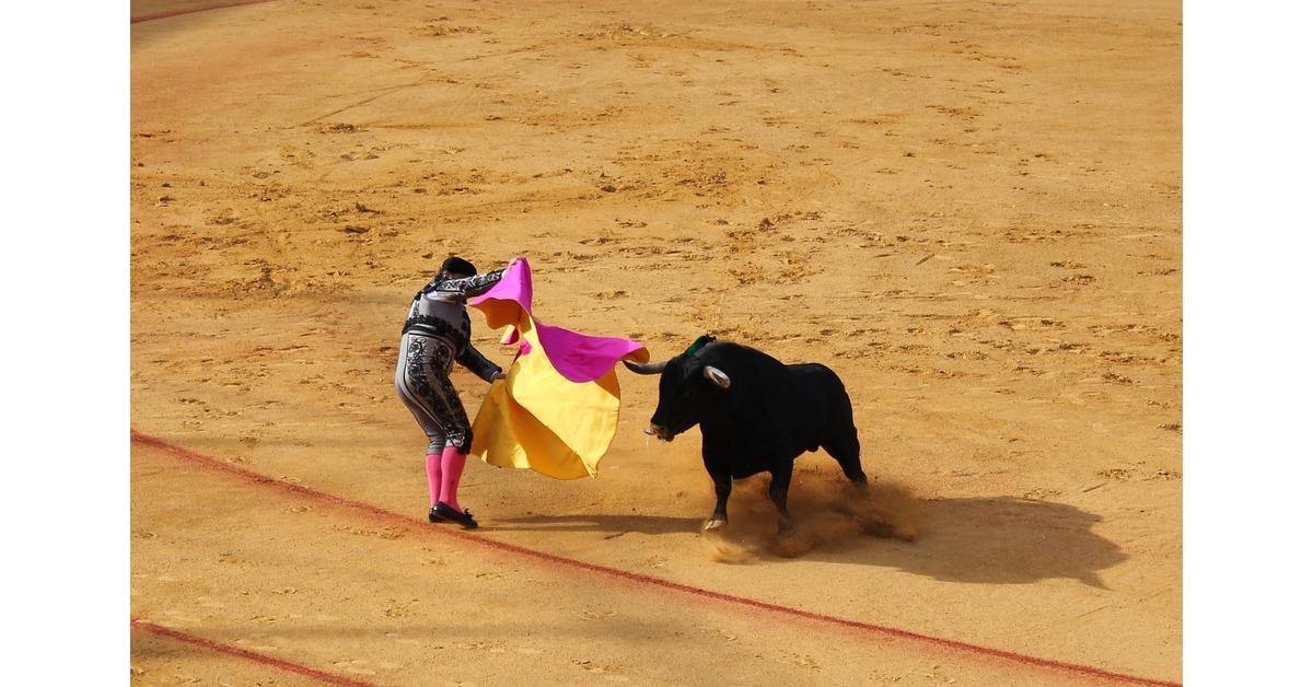 rican-riding-bulls-smash-beautiful-cows-vol-2